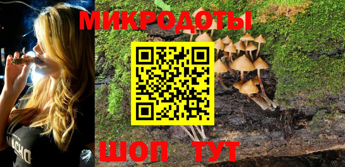 Псилоцибиновые грибы Cubensis Аша