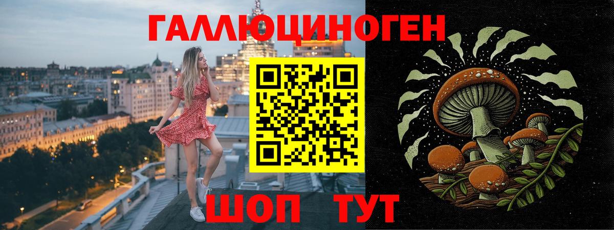 Галлюциногенные грибы мухоморы  Вход с VPN  цены   Аша 